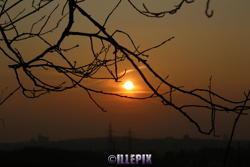 Landscape_Sundown.JPG