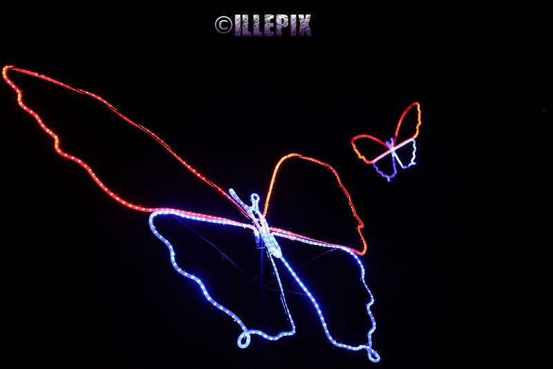 LightArt_Butterfly.JPG